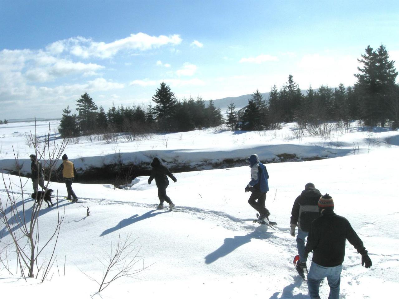Cabot Shores Indian Brook Extérieur photo
